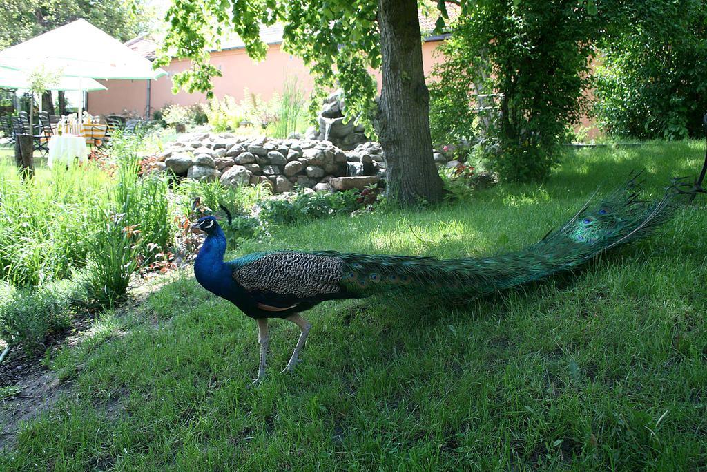 Hotel Adalbertus Gniezno Luaran gambar